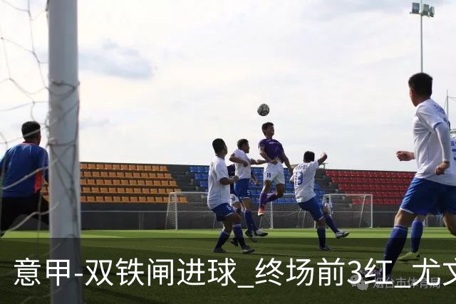 意甲-双铁闸进球 终场前3红 尤文2球落后2-2战平